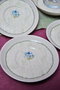 Hermia Juego de 6 Platos de Porcelana Ebrusu Multicolor de 12 cm